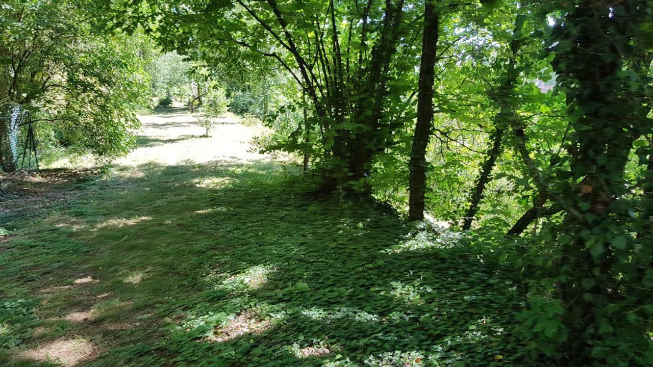 Gite La Providence Saint-Sernin-du-Plain Eksteriør billede